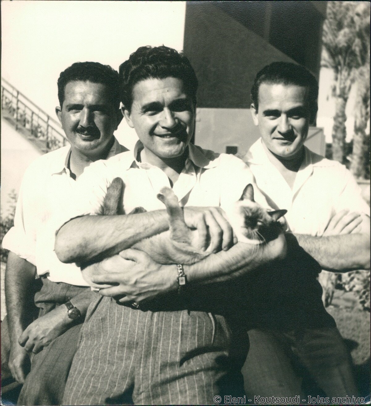 Iolas & his brothers